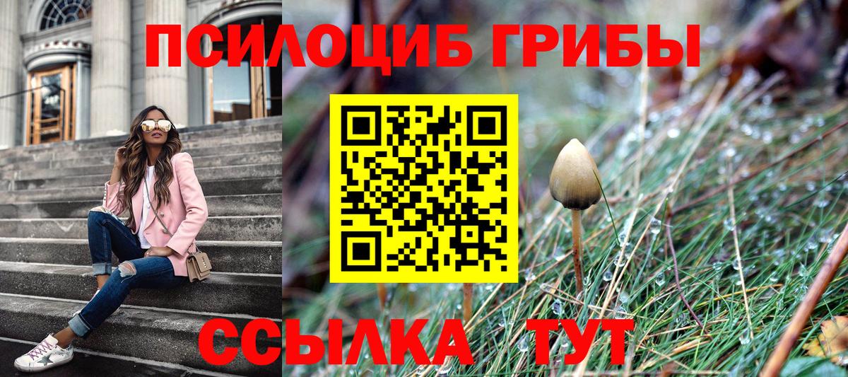 Михайловка  Галлюциногенные грибы ЛСД  Вход с VPN 